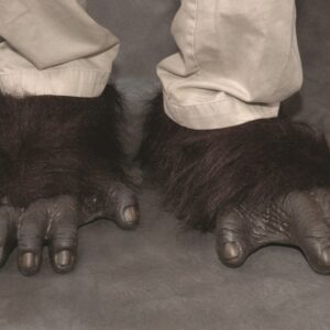 F1001 Gorilla Feet scaled 1