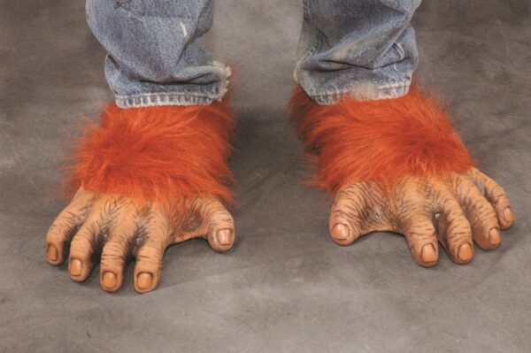 F1004 Orangutan Feet scaled 1