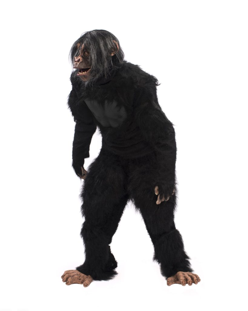 Chimp Costume Kit with Mask, Gloves, Shirt, Ape Pants and Feet | Costumes 4 Less K3M6001